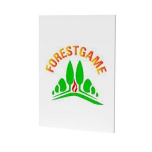 PROYECTO EUROPEO FORESTGAME